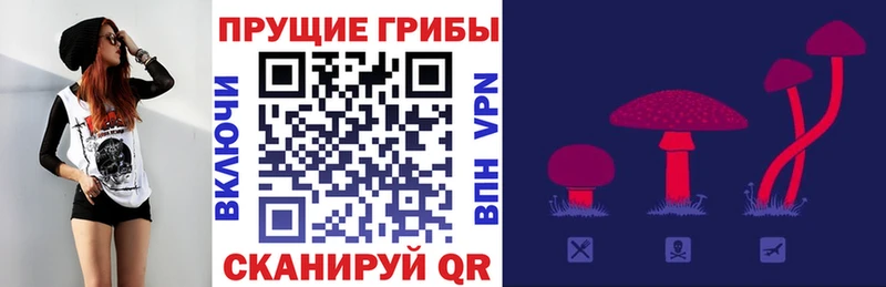 Псилоцибиновые грибы мицелий Новопавловск