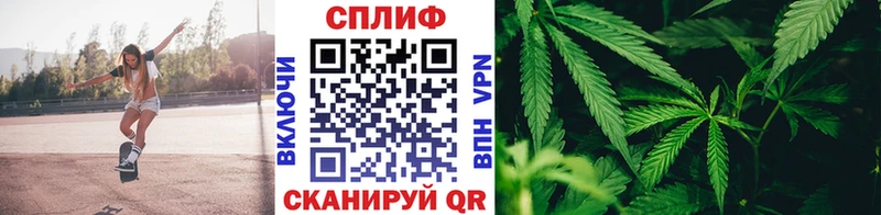 продажа наркотиков  Новопавловск  МАРИХУАНА конопля 